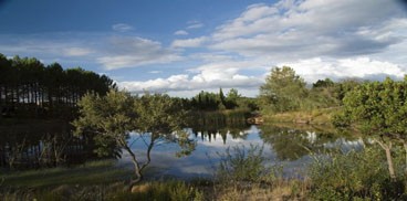 TAPPA 4  Crastazza - Buddusò